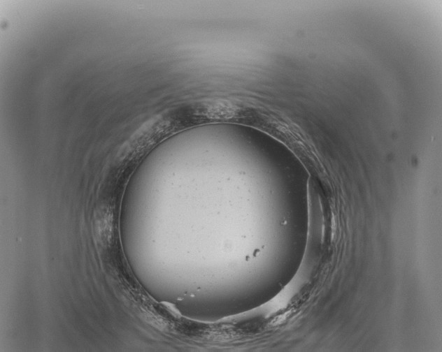 X0000061760697200512091701