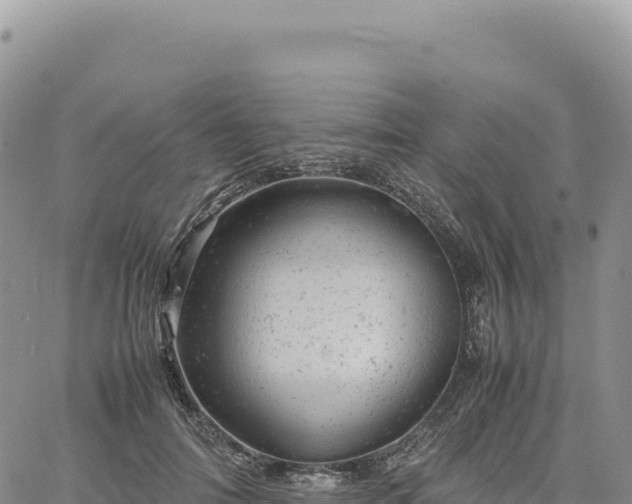 X0000061760698200512091701