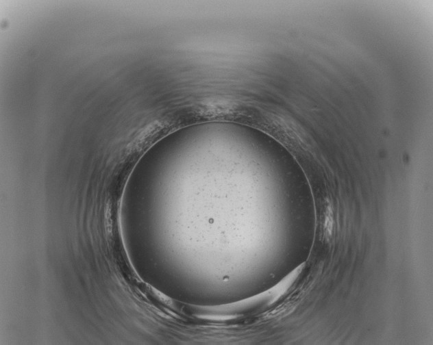 X0000061760700200512091701