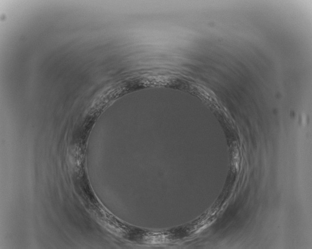 X0000061760701200512091701