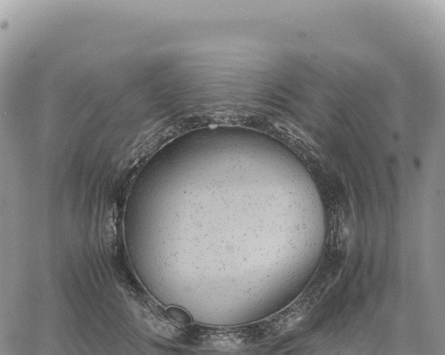 X0000061760702200512091701