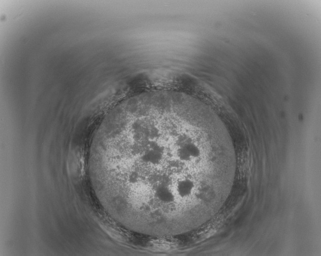 X0000061760703200512091701