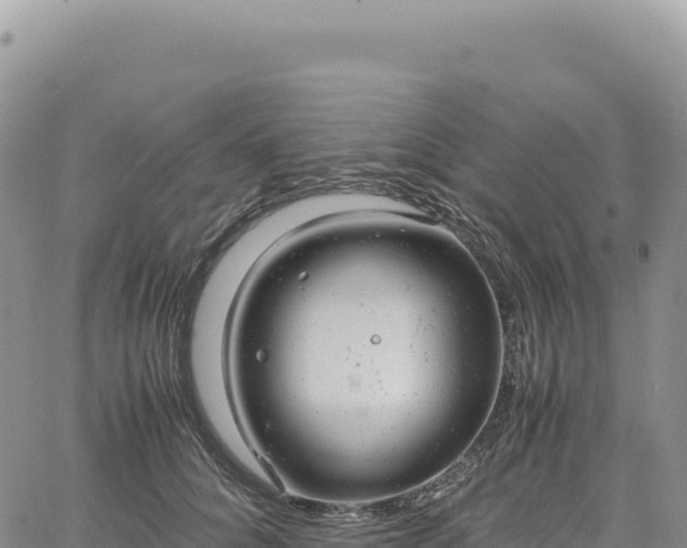 X0000061760704200512091701