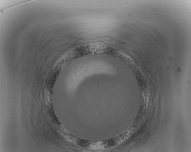 X0000061760705200512091701