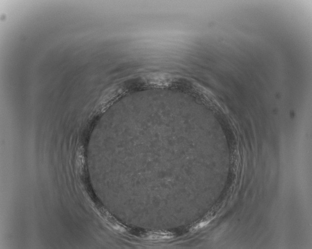 X0000061760707200512091701