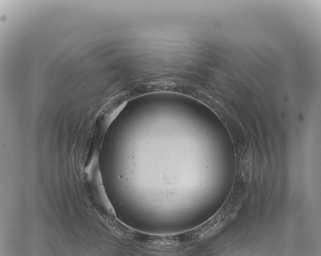 X0000061760708200512091701