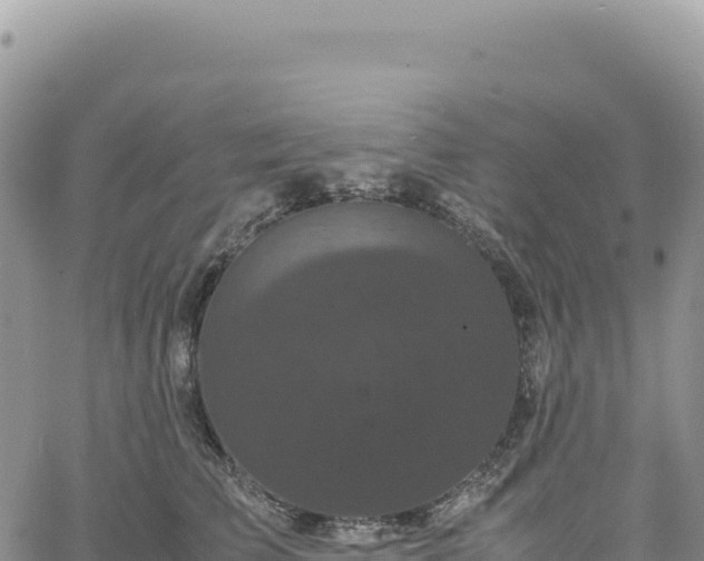 X0000061760709200512091701