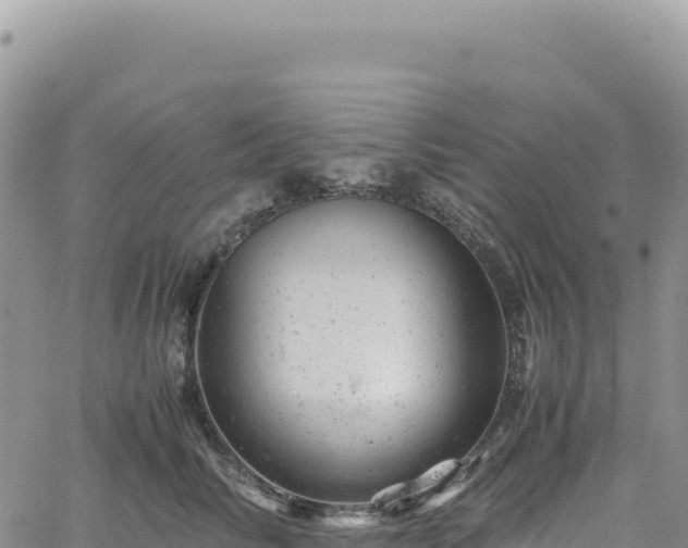 X0000061760710200512091701