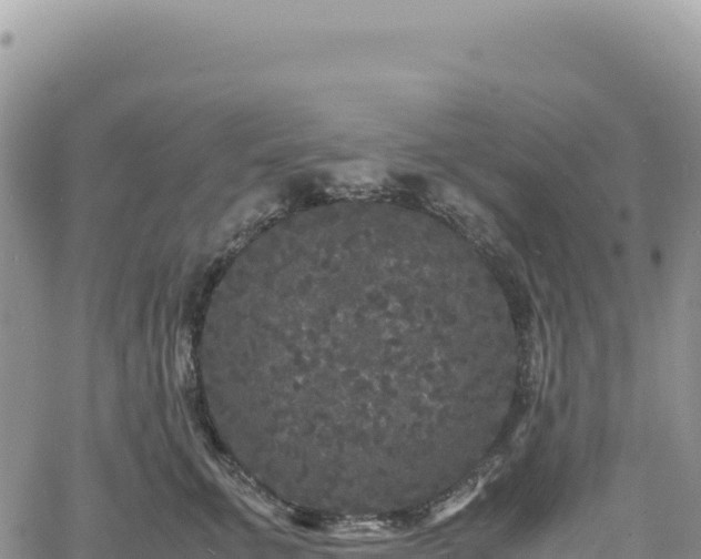 X0000061760711200512091701