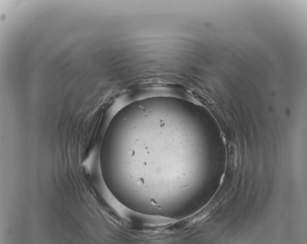 X0000061760712200512091701