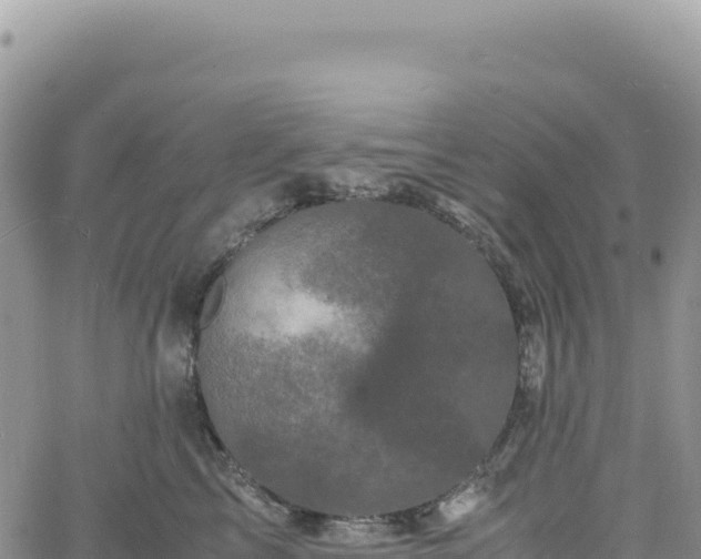 X0000061760713200512091701