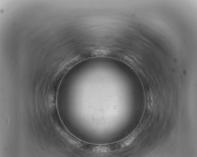 X0000061760714200512091701