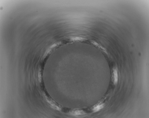 X0000061760716200512091701