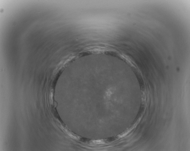 X0000061760717200512091701