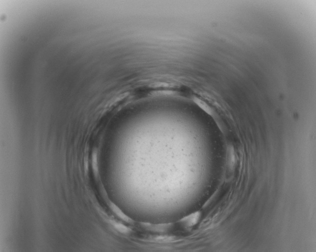 X0000061760719200512091701