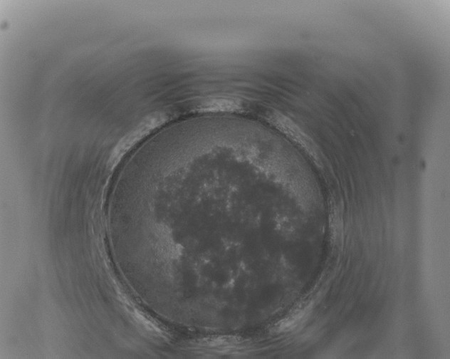 X0000061760721200512091700