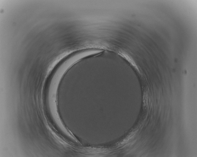 X0000061760722200512091700