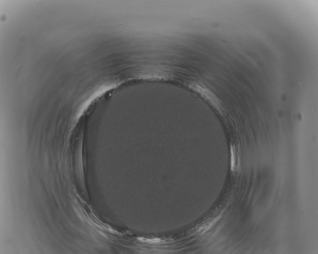 X0000061760723200512091700