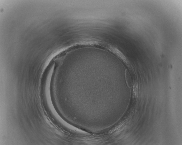 X0000061760724200512091700