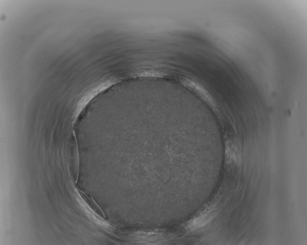 X0000061760725200512091700