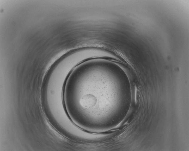 X0000061760726200512091700