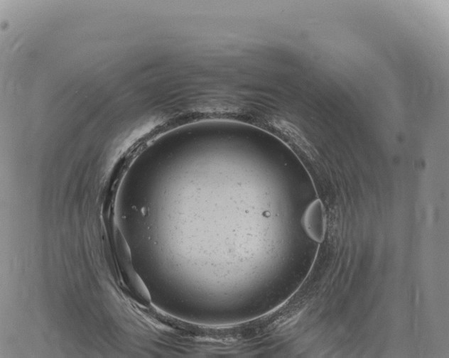 X0000061760727200512091700