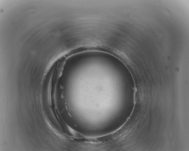 X0000061760728200512091700