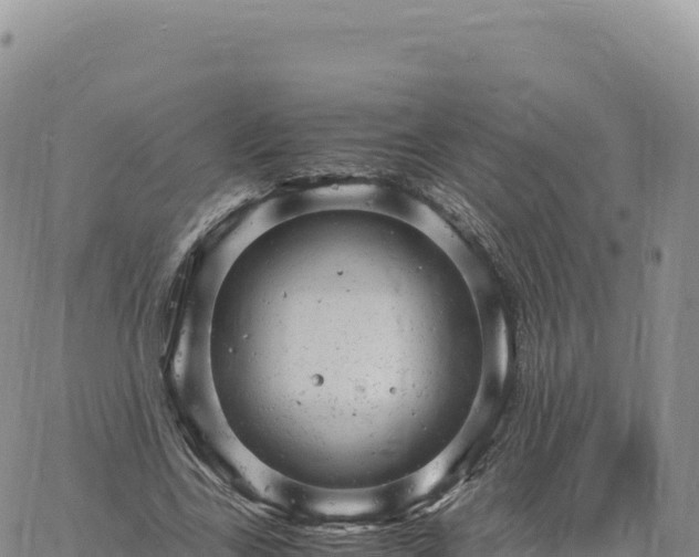 X0000061760731200512091700