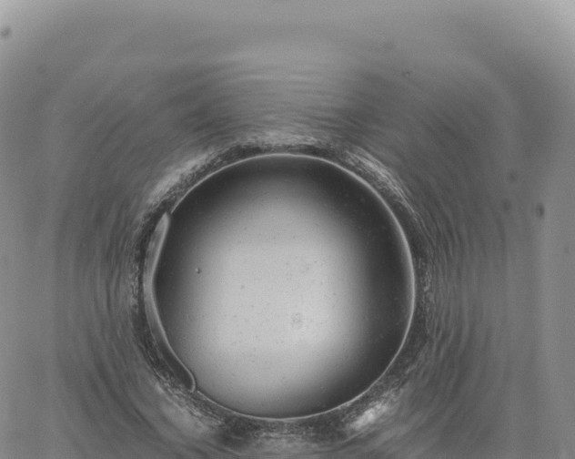 X0000061760732200512091700