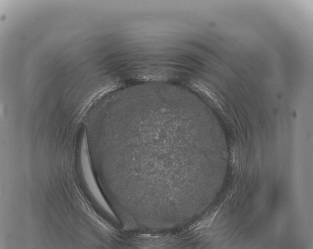 X0000061760733200512091700