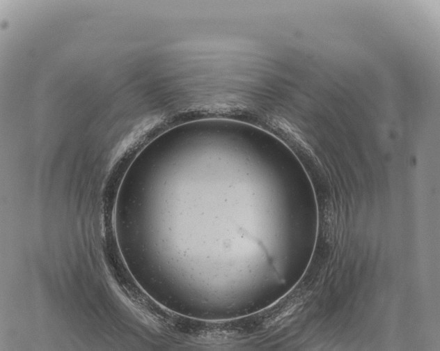 X0000061760734200512091700