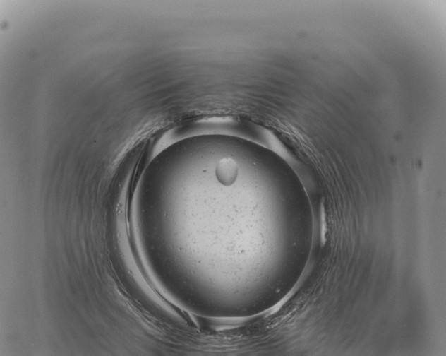 X0000061760735200512091700