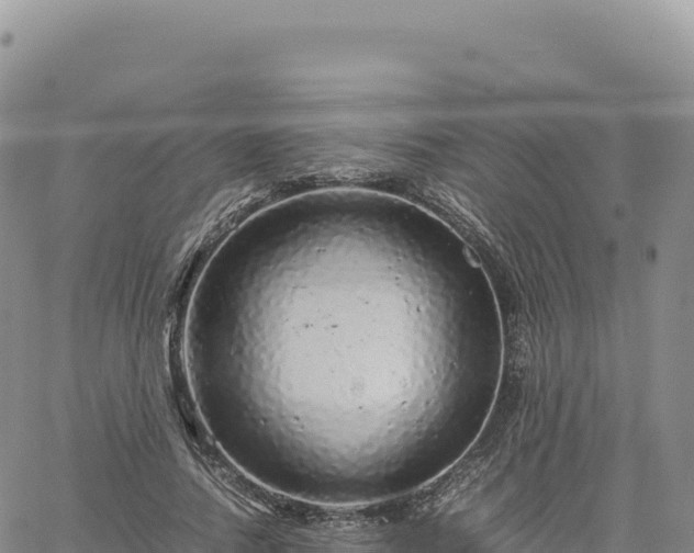 X0000061760738200512091700