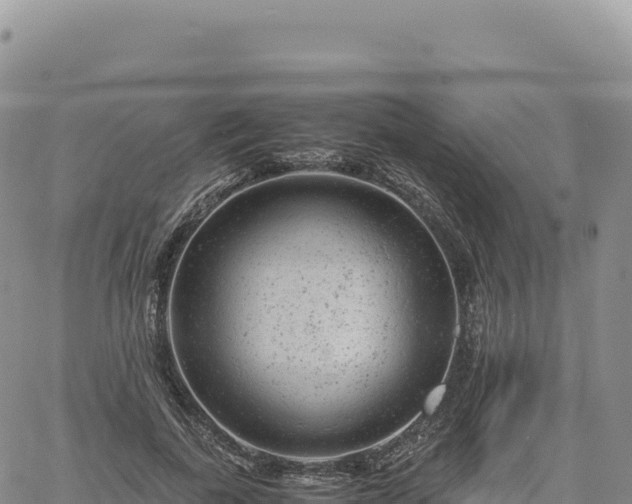 X0000061760739200512091700