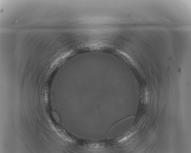 X0000061760740200512091700