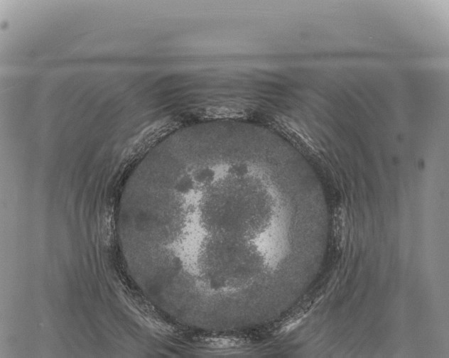 X0000061760741200512091700