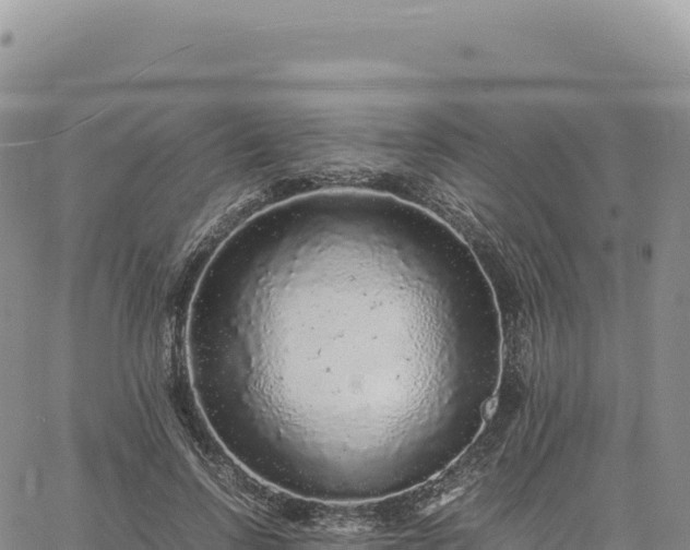 X0000061760742200512091700