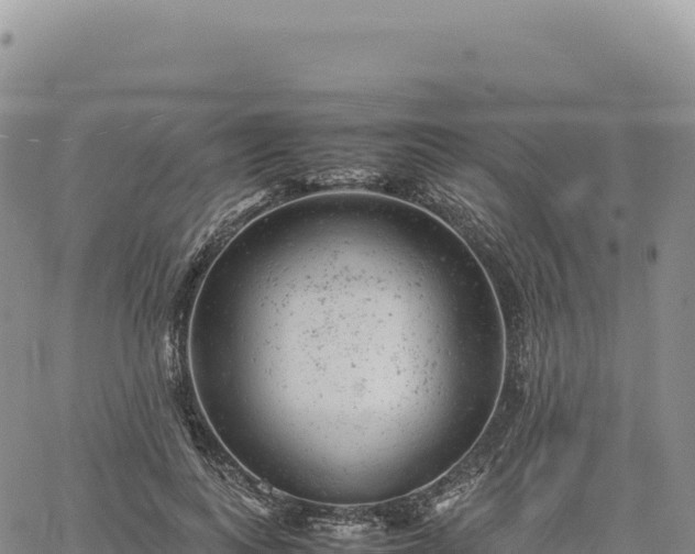 X0000061760743200512091700