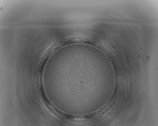 X0000061760744200512091700