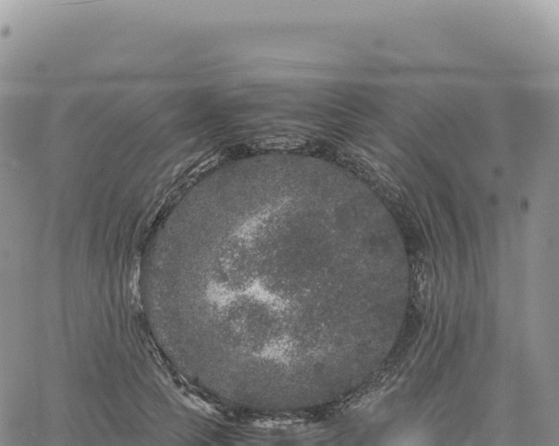 X0000061760745200512091700