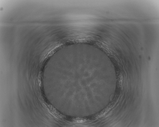 X0000061760746200512091701