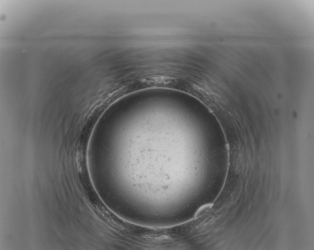 X0000061760747200512091701