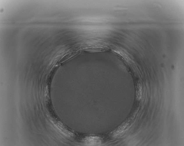 X0000061760748200512091701