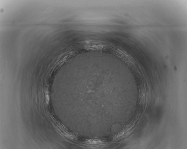 X0000061760749200512091701