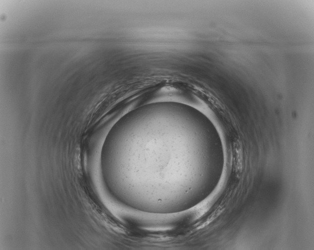 X0000061760750200512091701