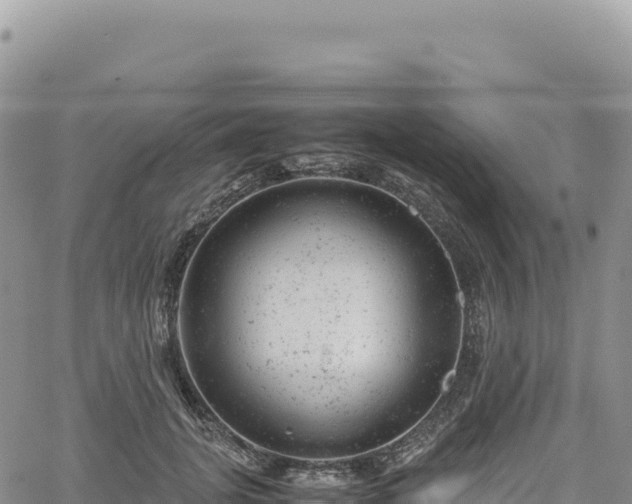 X0000061760751200512091701