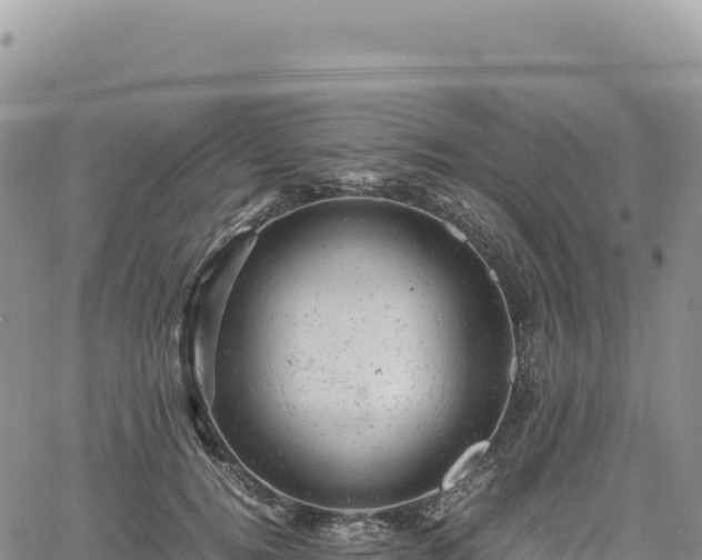 X0000061760752200512091701