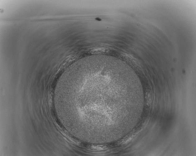 X0000061760753200512091701