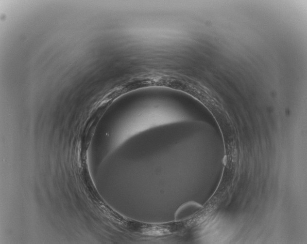 X0000061760754200512091701