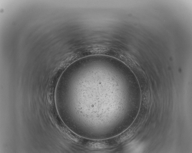 X0000061760755200512091701